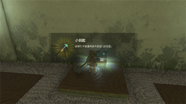 塞尔达传说-王国之泪