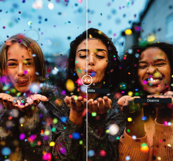 ACDSee中文版合集