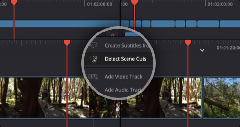 davinci resolve达芬奇 多版本合集