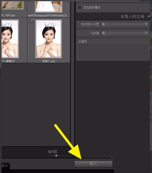 lightroom classic中文版合集