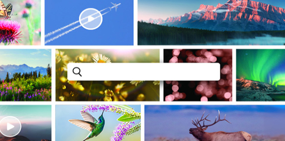 Adobe Premiere Elements