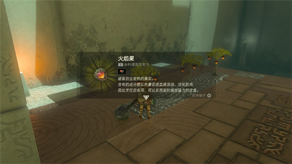 塞尔达传说-王国之泪