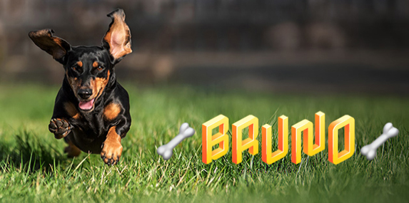 Adobe Premiere Elements