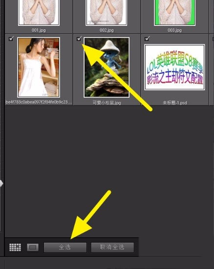 lightroom classic中文版合集