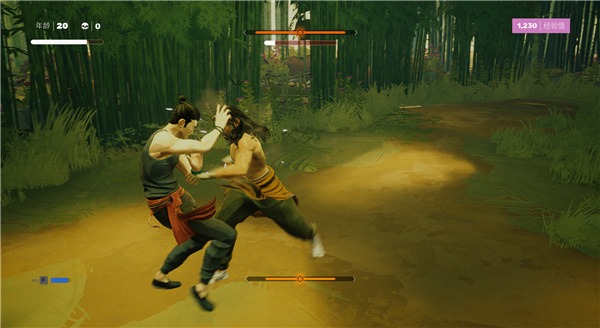 师父游戏(sifu)
