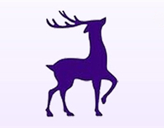 Adobe Illustrator中文版合集